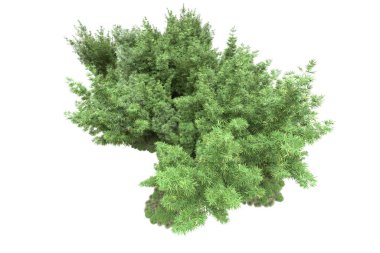 Beyaz arka planda ağaçlar olan bir ada. 3d görüntüleme - illüstrasyon