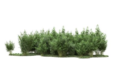 Beyaz arka planda ağaçlar olan bir ada. 3d görüntüleme - illüstrasyon