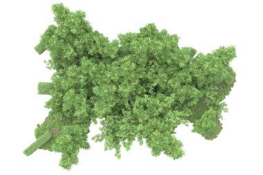 Beyaz arka planda ağaçlar olan bir ada. 3d görüntüleme - illüstrasyon