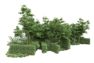 Beyaz arka planda ağaçlar olan bir ada. 3d görüntüleme - illüstrasyon