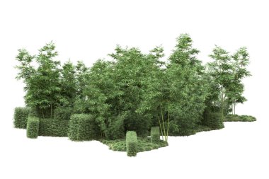 Beyaz arka planda ağaçlar olan bir ada. 3d görüntüleme - illüstrasyon