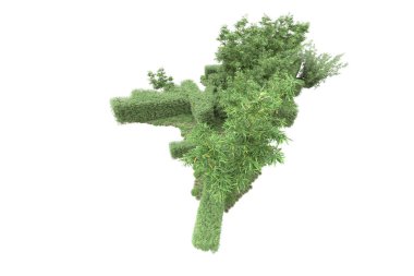 Beyaz arka planda ağaçlar olan bir ada. 3d görüntüleme - illüstrasyon