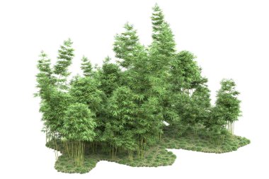 Beyaz arka planda ağaçlar olan bir ada. 3d görüntüleme - illüstrasyon