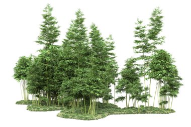 Beyaz arka planda ağaçlar olan bir ada. 3d görüntüleme - illüstrasyon