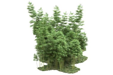 Beyaz arka planda ağaçlar olan bir ada. 3d görüntüleme - illüstrasyon