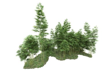 Beyaz arka planda ağaçlar olan bir ada. 3d görüntüleme - illüstrasyon