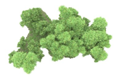 Beyaz arka planda ağaçlar olan bir ada. 3d görüntüleme - illüstrasyon