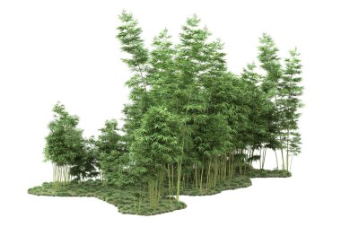 Beyaz arka planda ağaçlar olan bir ada. 3d görüntüleme - illüstrasyon