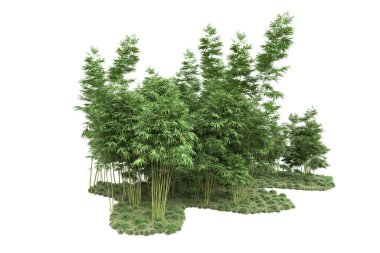 Beyaz arka planda ağaçlar olan bir ada. 3d görüntüleme - illüstrasyon