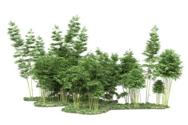 Beyaz arka planda ağaçlar olan bir ada. 3d görüntüleme - illüstrasyon