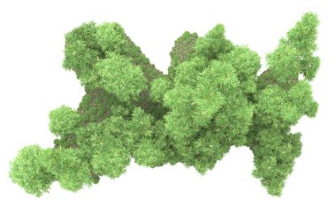 Beyaz arka planda ağaçlar olan bir ada. 3d görüntüleme - illüstrasyon