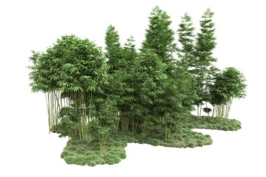 Beyaz arka planda ağaçlar olan bir ada. 3d görüntüleme - illüstrasyon