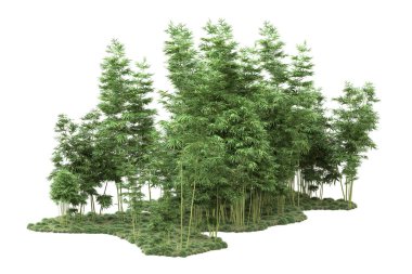 Beyaz arka planda ağaçlar olan bir ada. 3d görüntüleme - illüstrasyon