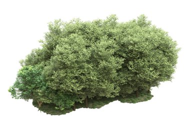 Beyaz arka planda ağaçlar olan bir ada. 3d görüntüleme - illüstrasyon