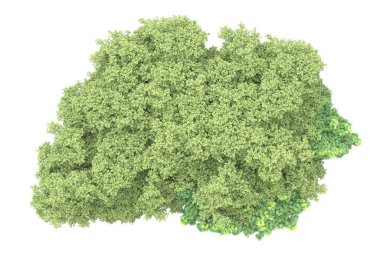 Beyaz arka planda ağaçlar olan bir ada. 3d görüntüleme - illüstrasyon