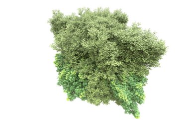 Beyaz arka planda ağaçlar olan bir ada. 3d görüntüleme - illüstrasyon