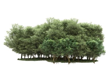 Beyaz arka planda ağaçlar olan bir ada. 3d görüntüleme - illüstrasyon