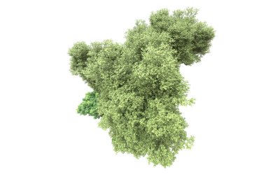 Beyaz arka planda ağaçlar olan bir ada. 3d görüntüleme - illüstrasyon