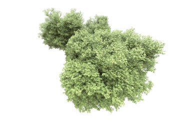 Beyaz arka planda ağaçlar olan bir ada. 3d görüntüleme - illüstrasyon