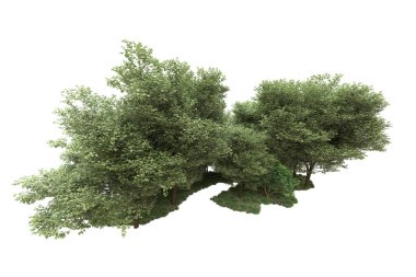 Beyaz arka planda ağaçlar olan bir ada. 3d görüntüleme - illüstrasyon