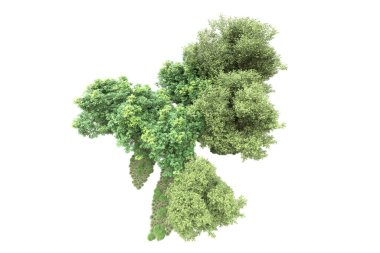 Orman ıssız. Görüntü pankartlar, posterler ya da fotoğraf manipülasyonları için kullanışlı. 3d görüntüleme - illüstrasyon