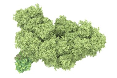 Orman ıssız. Görüntü pankartlar, posterler ya da fotoğraf manipülasyonları için kullanışlı. 3d görüntüleme - illüstrasyon