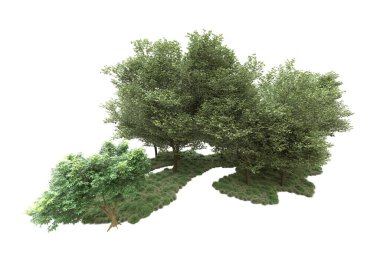 Orman ıssız. Görüntü pankartlar, posterler ya da fotoğraf manipülasyonları için kullanışlı. 3d görüntüleme - illüstrasyon