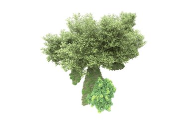 Orman ıssız. Görüntü pankartlar, posterler ya da fotoğraf manipülasyonları için kullanışlı. 3d görüntüleme - illüstrasyon