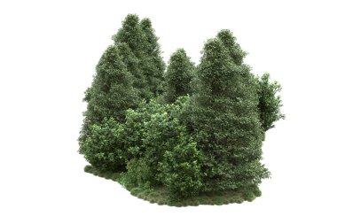 Orman ıssız. Görüntü pankartlar, posterler ya da fotoğraf manipülasyonları için kullanışlı. 3d görüntüleme - illüstrasyon