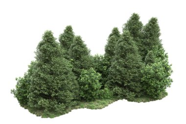 Orman ıssız. Görüntü pankartlar, posterler ya da fotoğraf manipülasyonları için kullanışlı. 3d görüntüleme - illüstrasyon