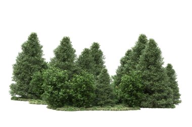 Orman ıssız. Görüntü pankartlar, posterler ya da fotoğraf manipülasyonları için kullanışlı. 3d görüntüleme - illüstrasyon