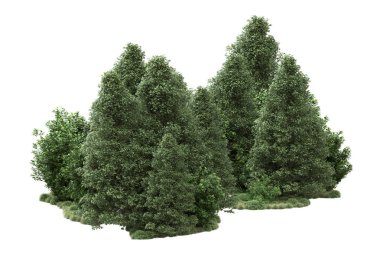 Orman ıssız. Görüntü pankartlar, posterler ya da fotoğraf manipülasyonları için kullanışlı. 3d görüntüleme - illüstrasyon