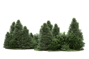 Orman ıssız. Görüntü pankartlar, posterler ya da fotoğraf manipülasyonları için kullanışlı. 3d görüntüleme - illüstrasyon