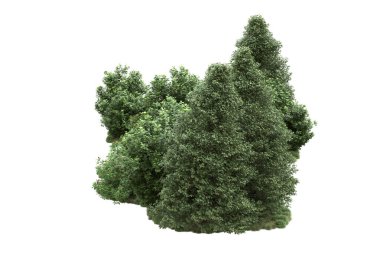 Orman ıssız. Görüntü pankartlar, posterler ya da fotoğraf manipülasyonları için kullanışlı. 3d görüntüleme - illüstrasyon