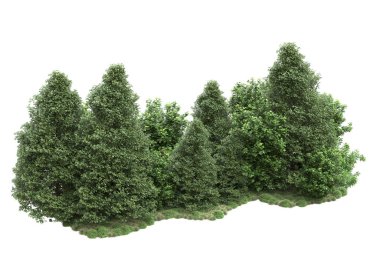 Orman ıssız. Görüntü pankartlar, posterler ya da fotoğraf manipülasyonları için kullanışlı. 3d görüntüleme - illüstrasyon