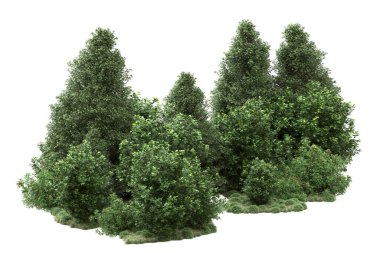 Orman ıssız. Görüntü pankartlar, posterler ya da fotoğraf manipülasyonları için kullanışlı. 3d görüntüleme - illüstrasyon