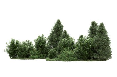 Orman ıssız. Görüntü pankartlar, posterler ya da fotoğraf manipülasyonları için kullanışlı. 3d görüntüleme - illüstrasyon