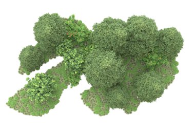 Orman ıssız. Görüntü pankartlar, posterler ya da fotoğraf manipülasyonları için kullanışlı. 3d görüntüleme - illüstrasyon