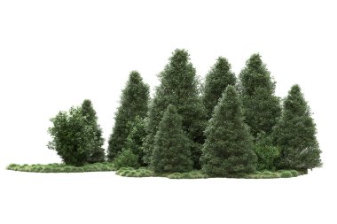 Orman ıssız. Görüntü pankartlar, posterler ya da fotoğraf manipülasyonları için kullanışlı. 3d görüntüleme - illüstrasyon