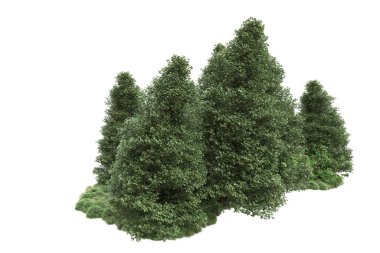 Orman ıssız. Görüntü pankartlar, posterler ya da fotoğraf manipülasyonları için kullanışlı. 3d görüntüleme - illüstrasyon