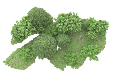 Orman ıssız. Görüntü pankartlar, posterler ya da fotoğraf manipülasyonları için kullanışlı. 3d görüntüleme - illüstrasyon