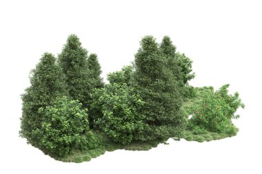 Orman ıssız. Görüntü pankartlar, posterler ya da fotoğraf manipülasyonları için kullanışlı. 3d görüntüleme - illüstrasyon