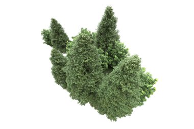 Orman ıssız. Görüntü pankartlar, posterler ya da fotoğraf manipülasyonları için kullanışlı. 3d görüntüleme - illüstrasyon