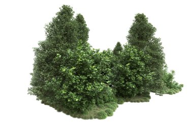 Orman ıssız. Görüntü pankartlar, posterler ya da fotoğraf manipülasyonları için kullanışlı. 3d görüntüleme - illüstrasyon