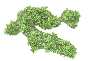 Orman ıssız. Görüntü pankartlar, posterler ya da fotoğraf manipülasyonları için kullanışlı. 3d görüntüleme - illüstrasyon