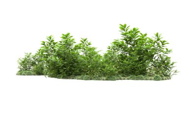 Orman ıssız. Görüntü pankartlar, posterler ya da fotoğraf manipülasyonları için kullanışlı. 3d görüntüleme - illüstrasyon