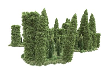 Orman ıssız. Görüntü pankartlar, posterler ya da fotoğraf manipülasyonları için kullanışlı. 3d görüntüleme - illüstrasyon