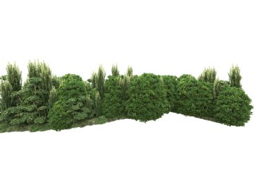 Orman ıssız. Görüntü pankartlar, posterler ya da fotoğraf manipülasyonları için kullanışlı. 3d görüntüleme - illüstrasyon