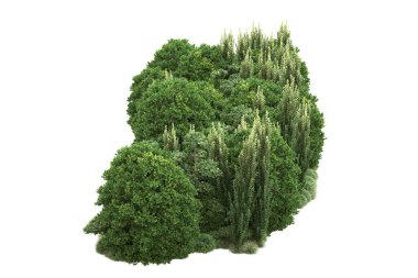 Orman ıssız. Görüntü pankartlar, posterler ya da fotoğraf manipülasyonları için kullanışlı. 3d görüntüleme - illüstrasyon