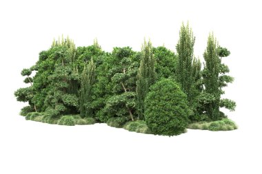 Orman ıssız. Görüntü pankartlar, posterler ya da fotoğraf manipülasyonları için kullanışlı. 3d görüntüleme - illüstrasyon